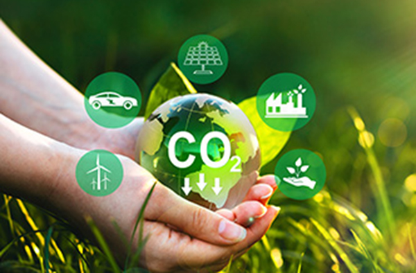 	動物無害化處理有這些關(guān)鍵方法